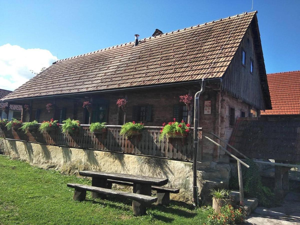 Tourist Farm Pri Martinovih Villa Krska Vas Exterior photo